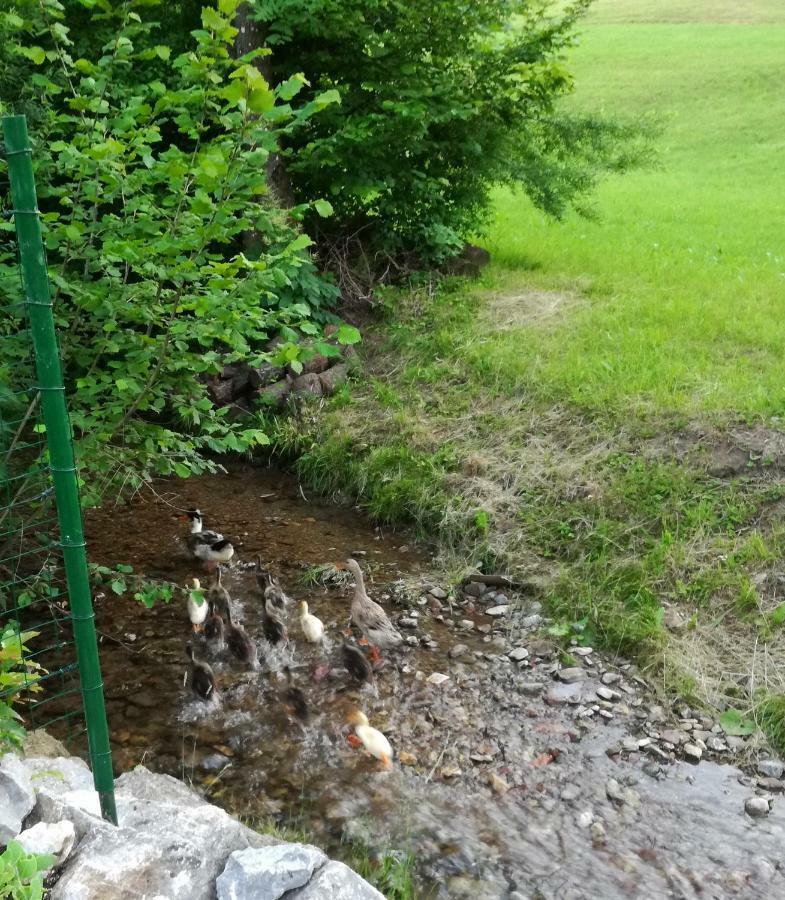 Apartma Metka Медводе Екстериор снимка